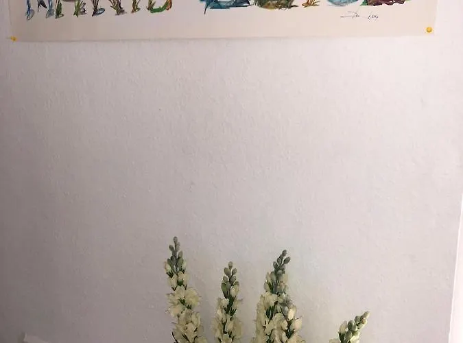 Zentraler Geht Es Kaum - In Koeniglicher Nachbarschaft! Lejlighed Ludwigsburg